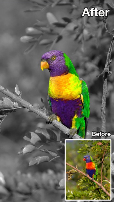 Color Changer-Coloring Editor screenshot 1