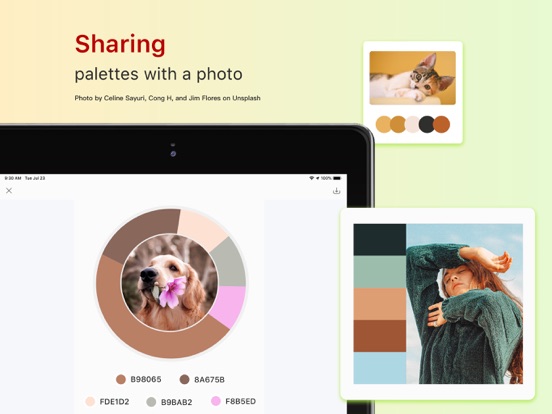 Color Collect - Palette Studio screenshot 7