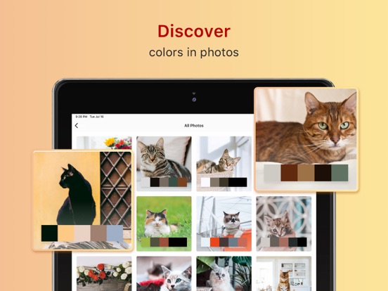 Color Collect - Palette Studio screenshot 8