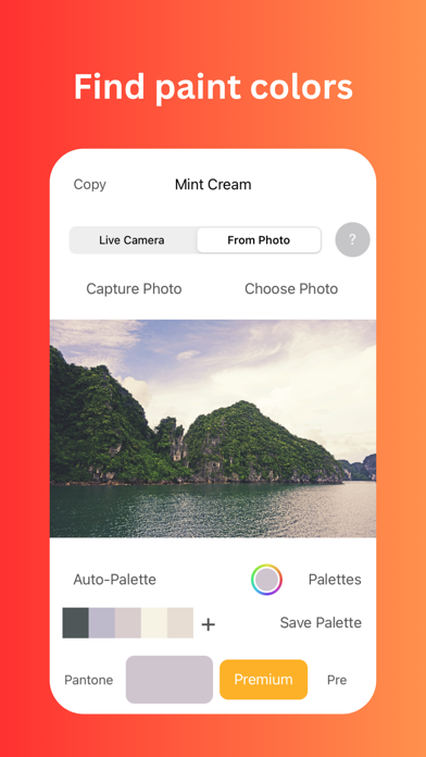 Color Identifier screenshot 1