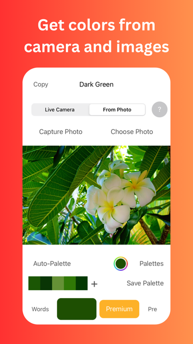 Color Identifier screenshot 2