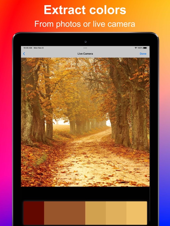Color Palettes - Find & Create screenshot 2