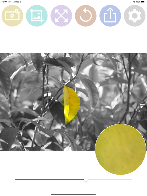 Color Splash effect eraser screenshot 6