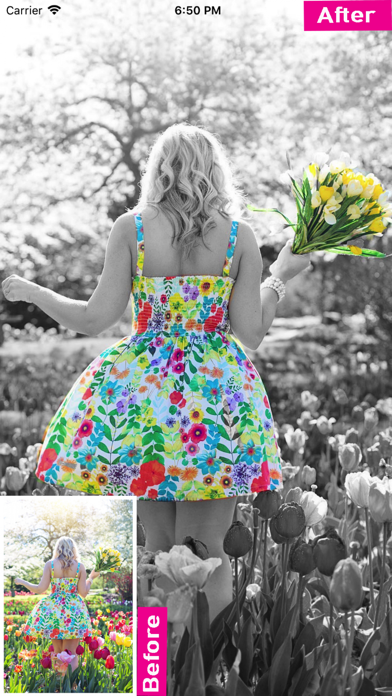 Color Splash  - Photo Effect screenshot 5
