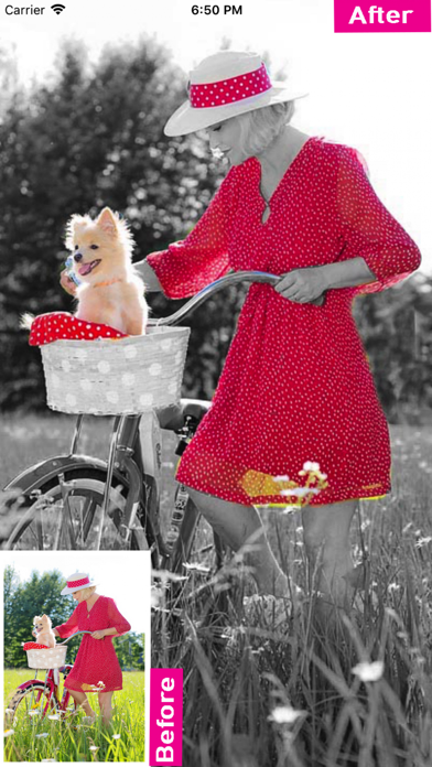 Color Splash  - Photo Effect screenshot 3