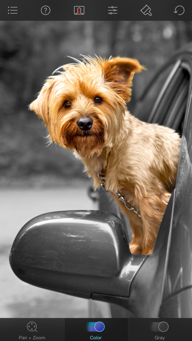 Color Splash screenshot 3