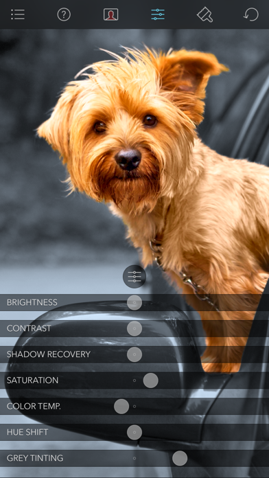 Color Splash screenshot 2