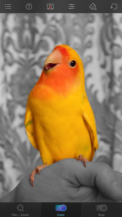 Color Splash screenshot 1