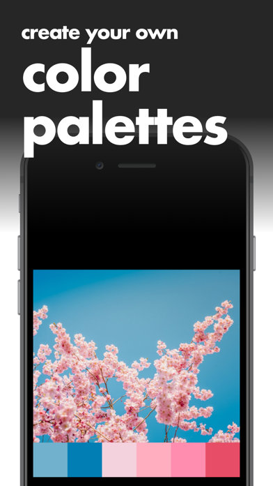 Color Tone Maker screenshot 4