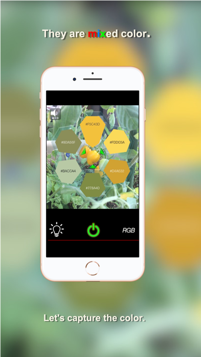colorChopper screenshot 3
