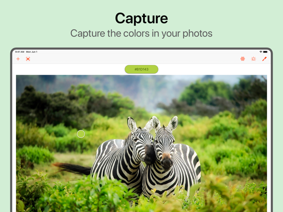 Colordrop: Color Picker screenshot 10