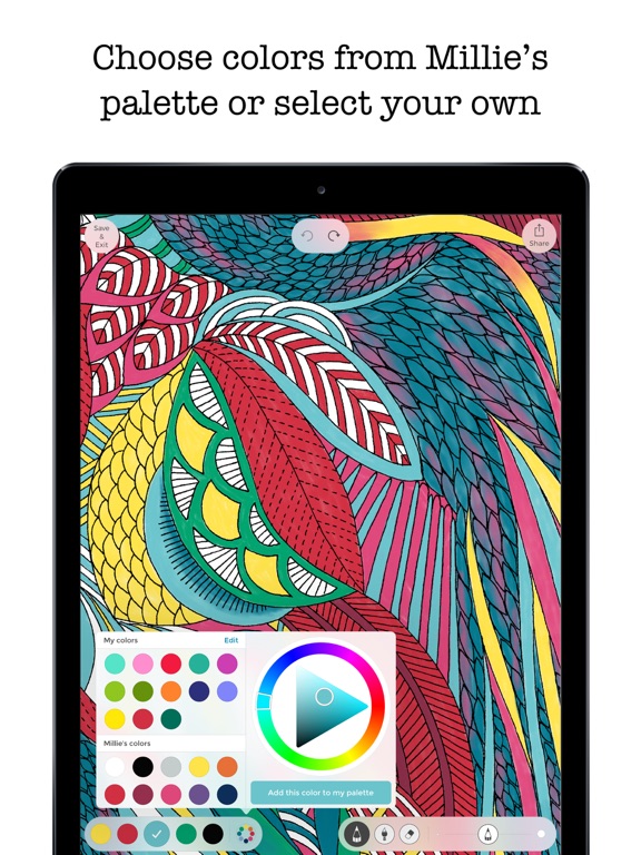 Coloring Adventures screenshot 3