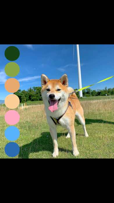 ColorPalette: Swatch Maker screenshot 4