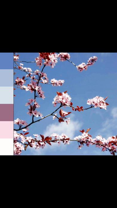 ColorPalette: Swatch Maker screenshot 1
