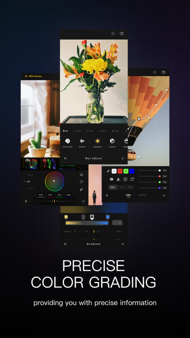 ColorPix - Color Grading screenshot 6