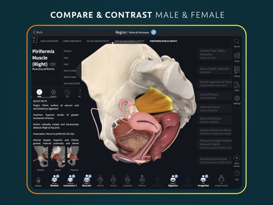 Complete Anatomy for iPad screenshot 6
