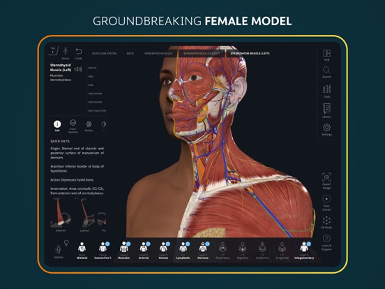 Complete Anatomy for iPad screenshot 9