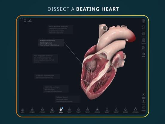 Complete Anatomy for iPad screenshot 1