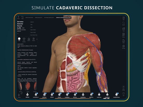 Complete Anatomy for iPad screenshot 10
