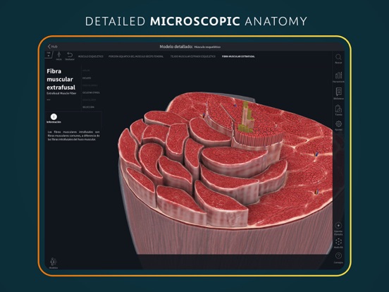 Complete Anatomy for iPad screenshot 4
