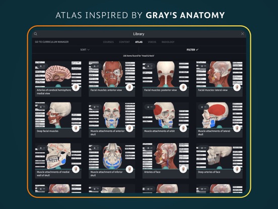 Complete Anatomy for iPad screenshot 5
