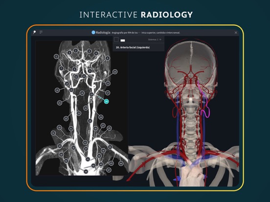Complete Anatomy for iPad screenshot 3