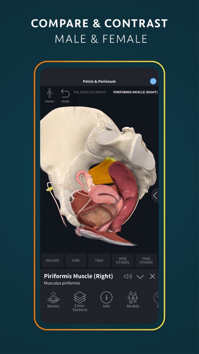 Complete Anatomy for iPhone screenshot 6