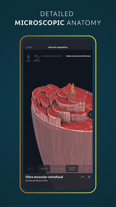 Complete Anatomy for iPhone screenshot 2