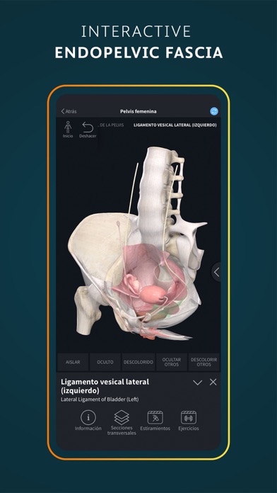 Complete Anatomy for iPhone screenshot 1