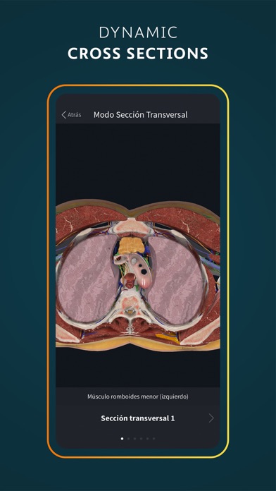 Complete Anatomy for iPhone screenshot 3