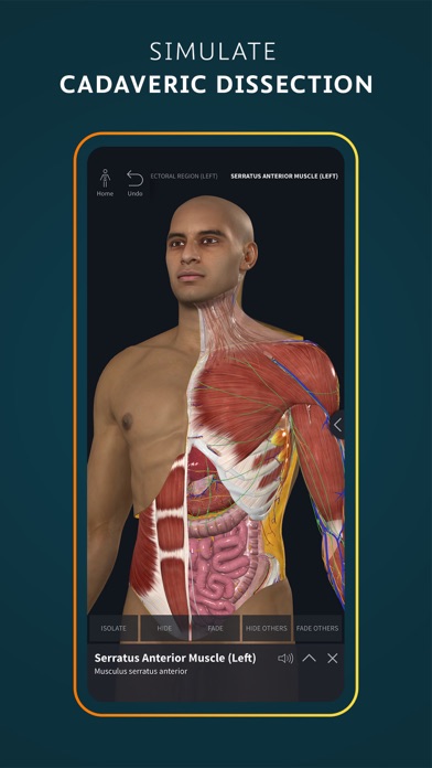 Complete Anatomy for iPhone screenshot 8