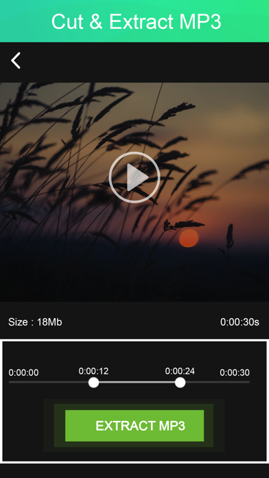 Compress Videos: Handbrake screenshot 4