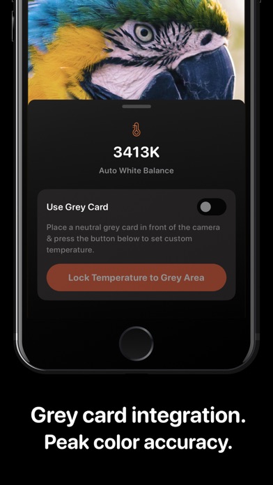 Cone Color Picker & Identifier screenshot 1
