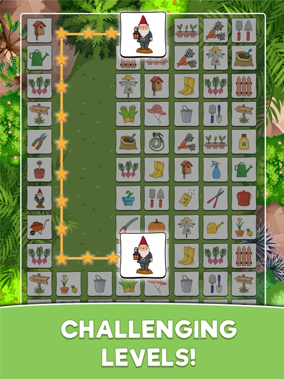 Connect Master - Pair Matching screenshot 8