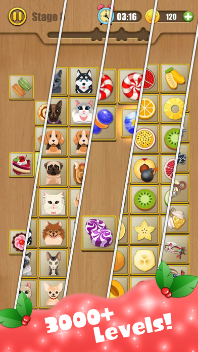 Connect Master Puzzle screenshot 2