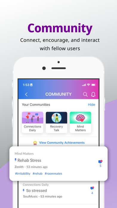 Connections: Recovery Support screenshot 3