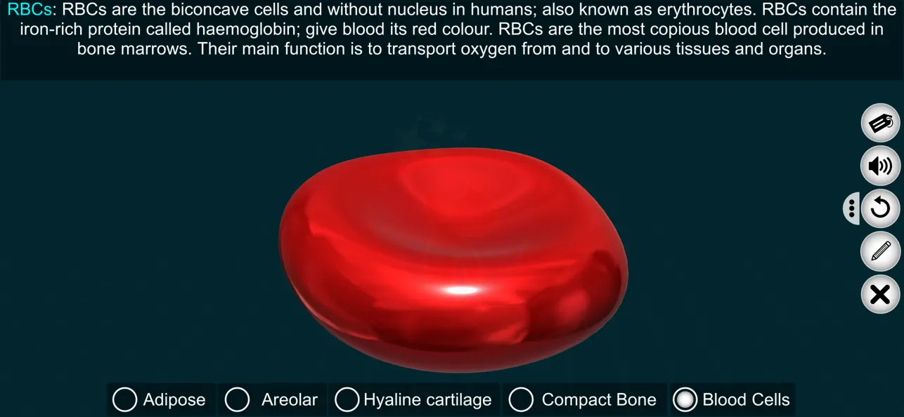Connective Tissues-EduTech Era screenshot 1