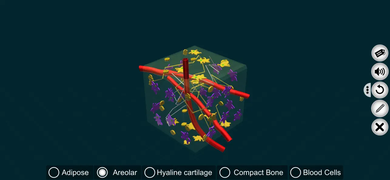 Connective Tissues-EduTech Era screenshot 3