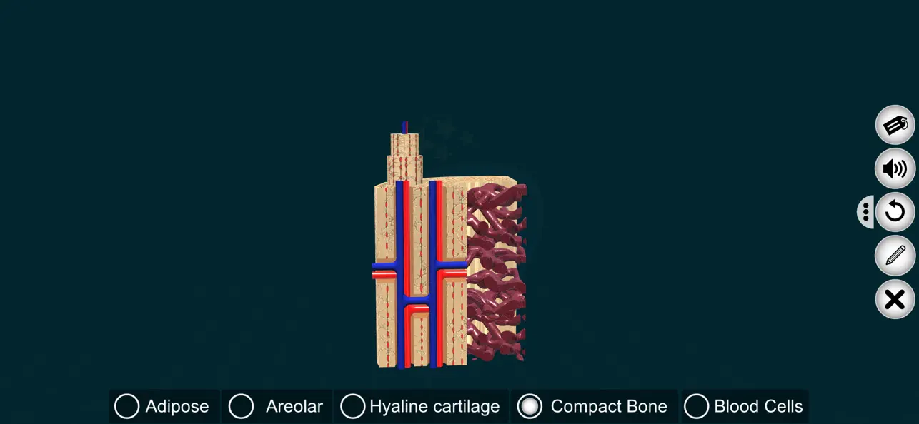 Connective Tissues-EduTech Era screenshot 2
