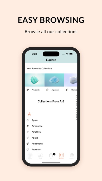 Conscious Items screenshot 1