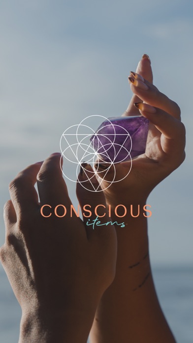 Conscious Items screenshot 6