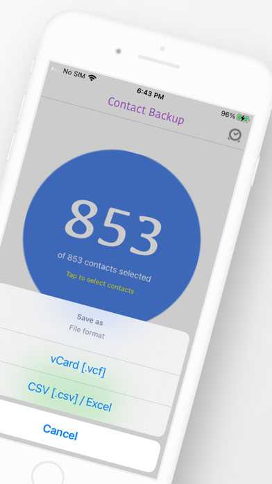 Contacts backup excel, vcard screenshot 1