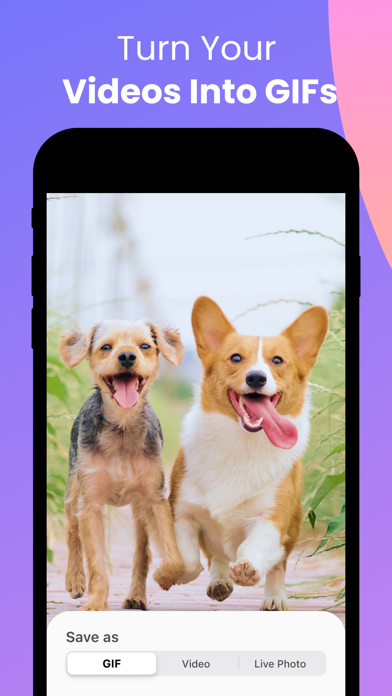 Convert: GIF Maker & Wallpaper screenshot 3