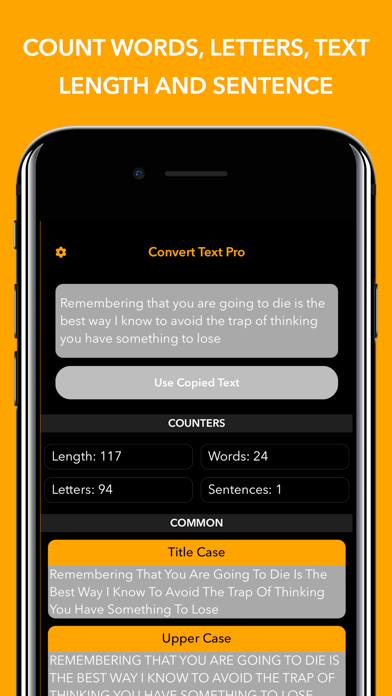 Convert Text - Format Text screenshot 3