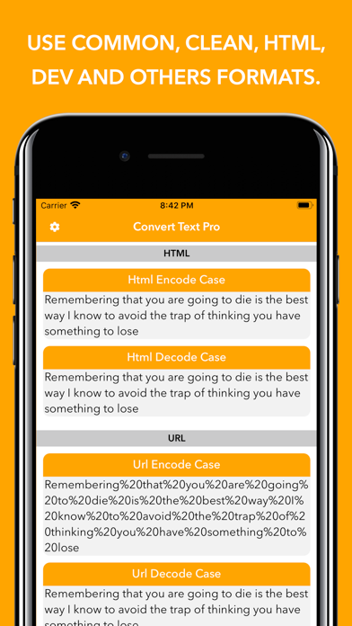 Convert Text - Format Text screenshot 2