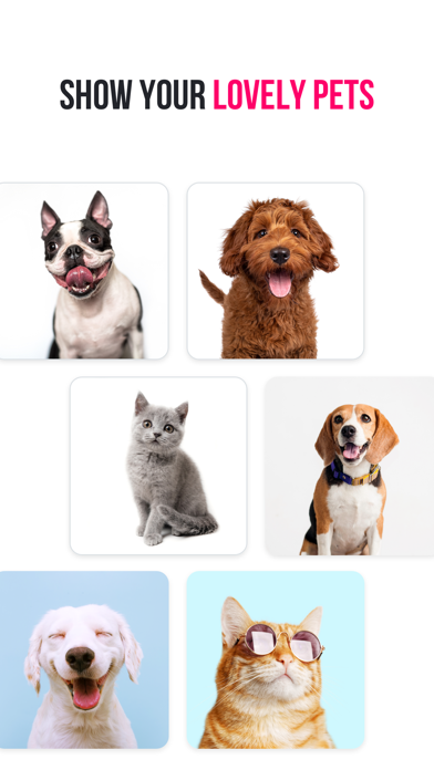 Cool Meet: Dating, Friends App screenshot 5