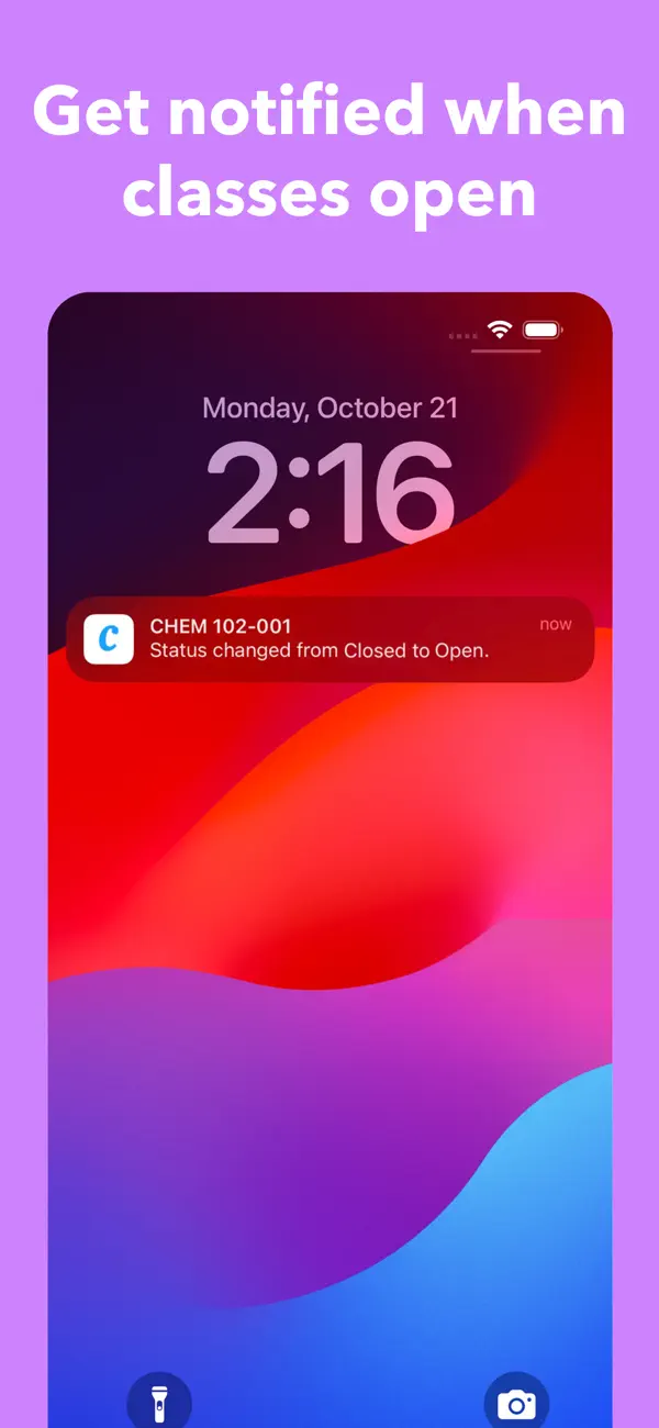 Coursicle screenshot 2