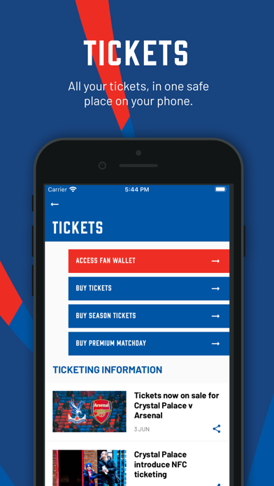 Crystal Palace FC screenshot 1