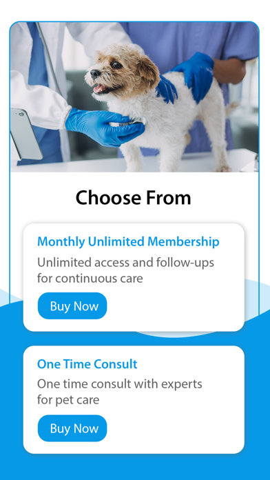 Cuddlytails-24/7 Vet & Sitting screenshot 7