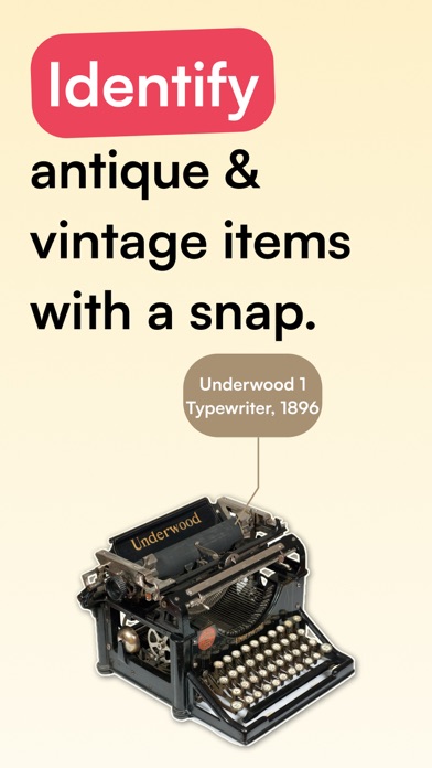 Curio - Antique Identifier screenshot 4